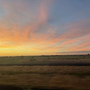 Meet your Posher, Ashamanaeva